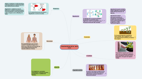 Mind Map: Características de los  seres vivos