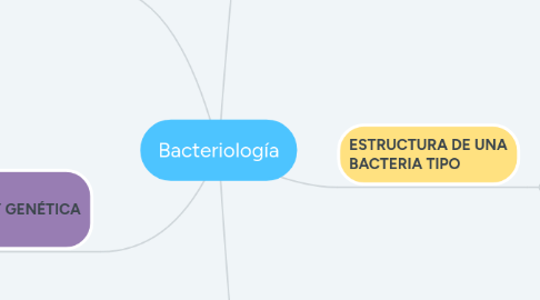 Mind Map: Bacteriología