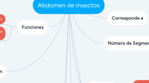 Mind Map: Abdomen de insectos