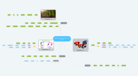 Mind Map: Características de los seres vivos