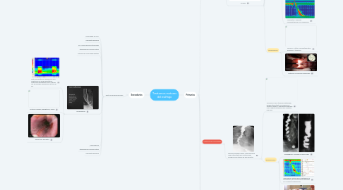 Mind Map: Trastornos motores del esófago