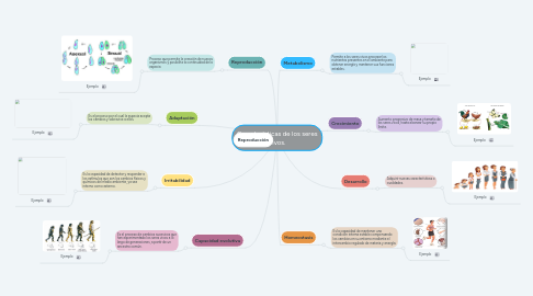 Mind Map: Características de los seres vivos.