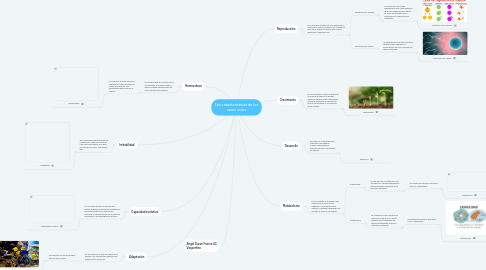 Mind Map: Las características de los seres vivos