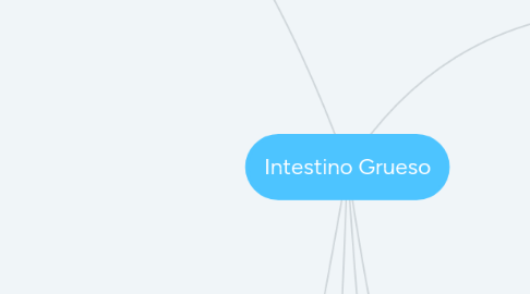 Mind Map: Intestino Grueso