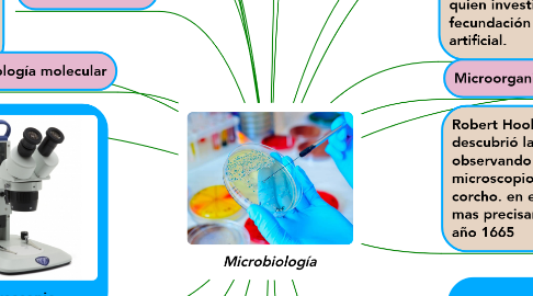 Mind Map: Microbiología