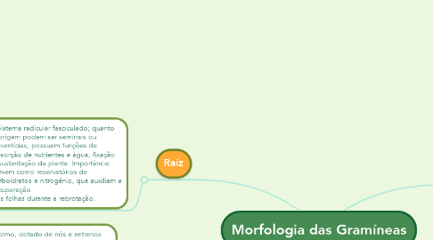 Mind Map: Morfologia das Gramíneas