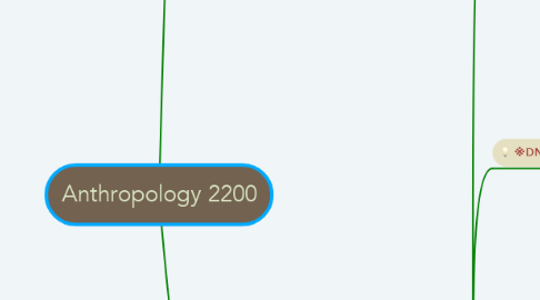 Mind Map: Anthropology 2200