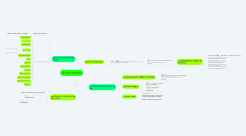 Mind Map: de que estoy hecho