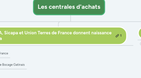 Mind Map: Les centrales d'achats