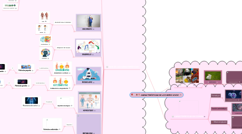 Mind Map: CARACTERÍSTICAS DE LOS SERES VIVOS