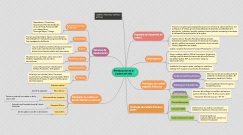 Mind Map: Reeducación de la Cadera del niño