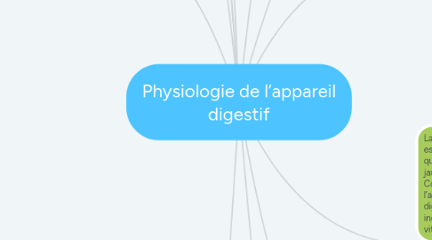 Mind Map: Physiologie de l’appareil digestif