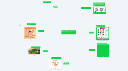 Mind Map: Características de los seres vivos