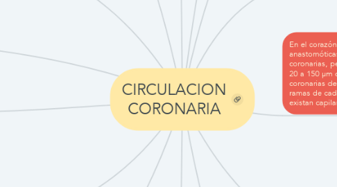 Mind Map: CIRCULACION CORONARIA