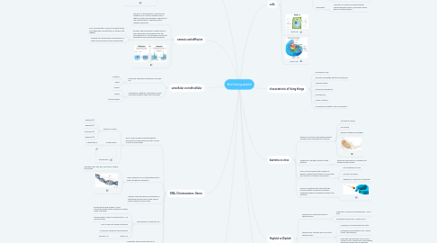 Mind Map: the living world