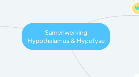 Mind Map: Samenwerking Hypothalamus & Hypofyse