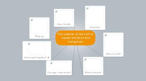 Mind Map: First webinar of the CoP on coastal resilience and mangroves