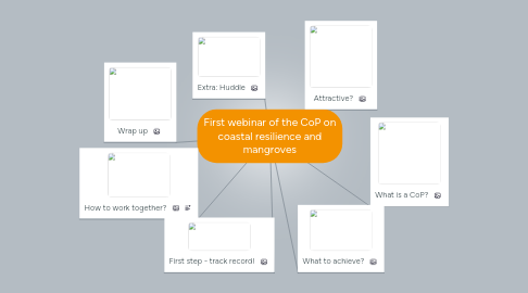 Mind Map: First webinar of the CoP on coastal resilience and mangroves