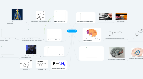 Mind Map: Consumo agudo