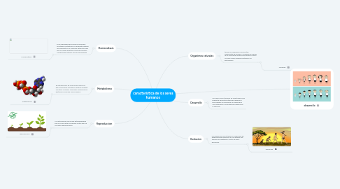 Mind Map: caracteristica de los seres humanos