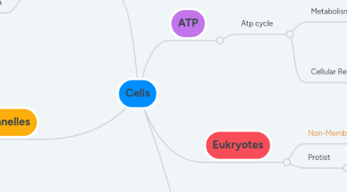 Mind Map: Cells