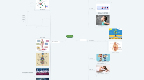 Mind Map: SERES VIVOS