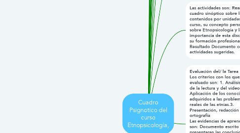 Mind Map: Cuadro Psignotico del curso Etnopsicología,