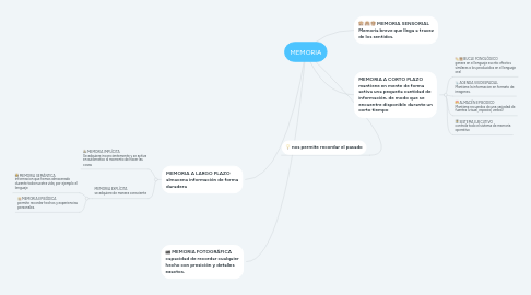 Mind Map: MEMORIA