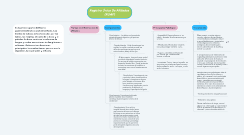 Mind Map: Registro Único De Afiliados (RUAF)