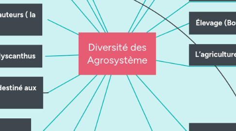Mind Map: Diversité des Agrosystème