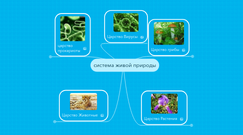 Mind Map: система живой природы