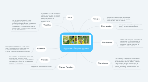 Mind Map: Agentes fitopatogenos