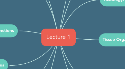 Mind Map: Lecture 1