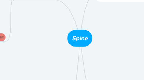 Mind Map: Spine
