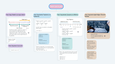 Mind Map: TAM SAYILAR