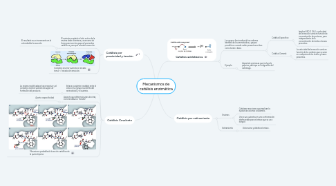 Mind Map: Mecanismos de catálisis enzimática