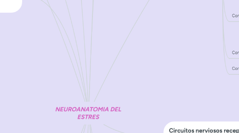 Mind Map: NEUROANATOMIA DEL ESTRES