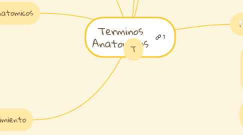 Mind Map: Terminos Anatomicos