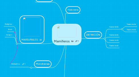 Mind Map: Mamíferos