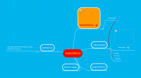 Mind Map: mamiferos