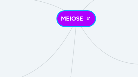 Mind Map: MEIOSE