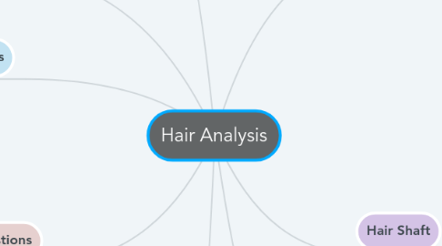 Mind Map: Hair Analysis