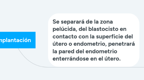 Mind Map: Implantación