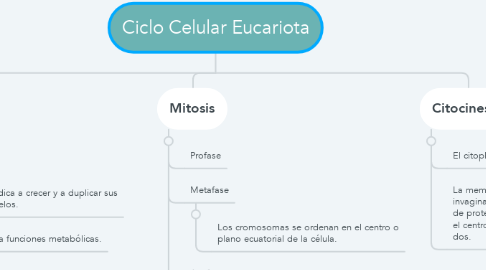 Mind Map: Ciclo Celular Eucariota