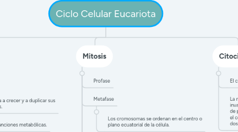 Mind Map: Ciclo Celular Eucariota