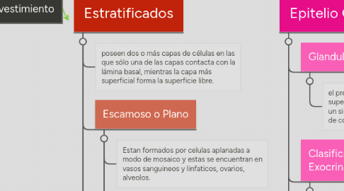 Mind Map: Tipos de Epitelios de Revestimiento y Epitelio Glandular.