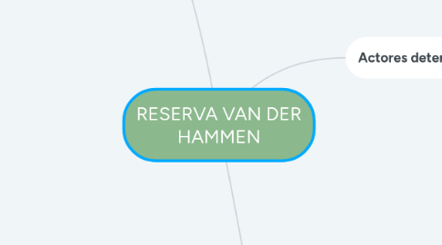 Mind Map: RESERVA VAN DER HAMMEN