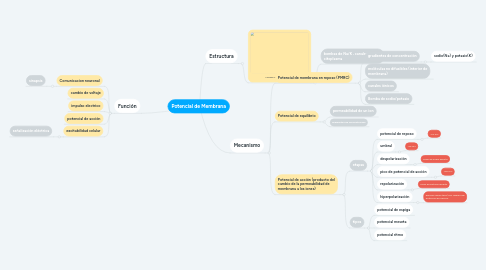 Mind Map: Potencial de Membrana