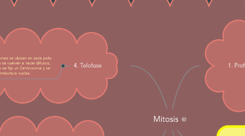 Mind Map: Mitosis