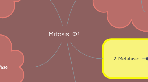 Mind Map: Mitosis